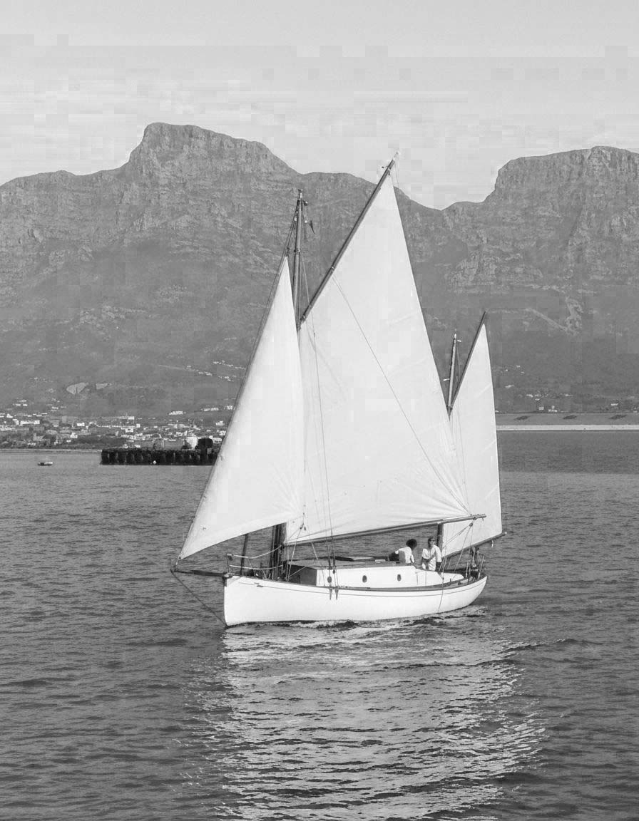 Die Islander in der Tafelbucht, S&uuml;dafrika &copy; kontrabande